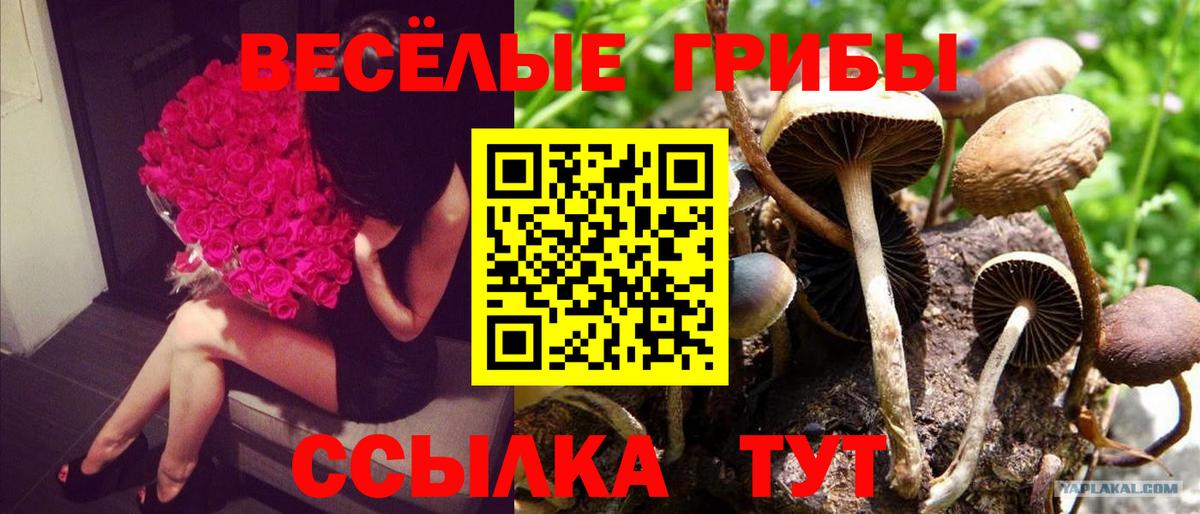  Кокаин Кумертау