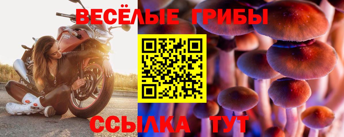 Псилоцибиновые грибы Magic Shrooms  Вход с VPN  Кумертау  Псилоцибиновые грибы Psilocybine cubensis 
